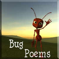 Bug Poems