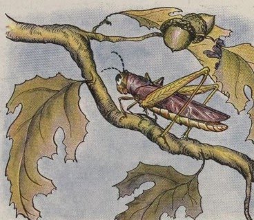 Aesop's Fables for Kids Grasshopper