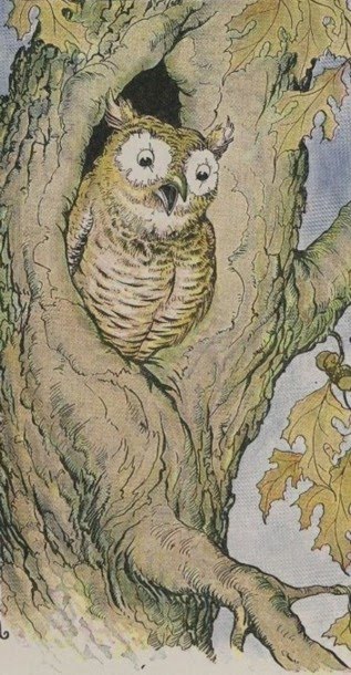 An Aesop's Fable for Kids Owl