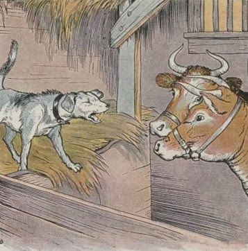 Aesop's Fables for Kids Dog Cows