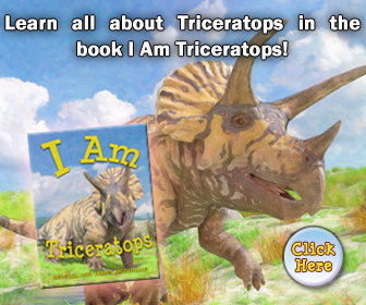 Triceratops Book for Children