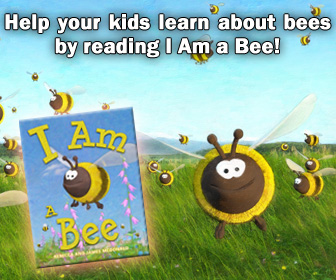 Bee Book for Kids