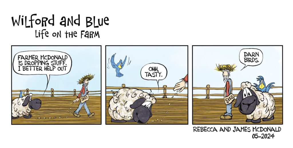 May-Wilford and Blue Comic Strip for Kids